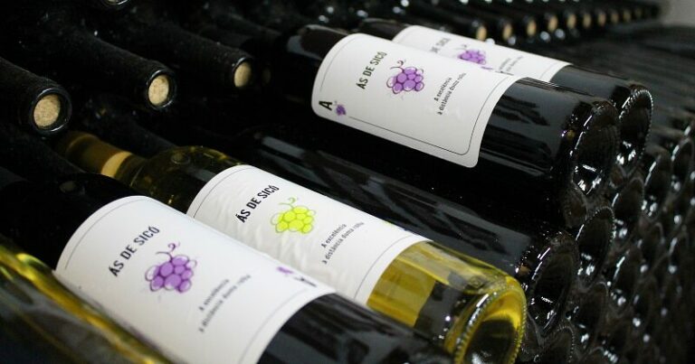 Destaca o Às de Sicó Tinto 2022