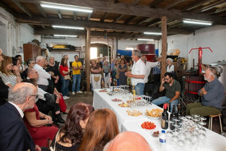 Visita à Adega dos Postigos